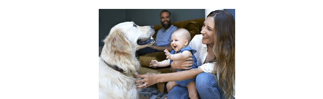 How To Introducing Pets to Baby