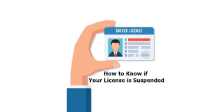How to Know if Your License is Suspended